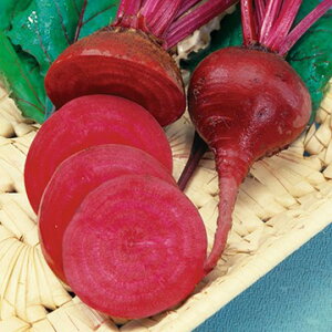  Hpr[cEfgCgE_[Nbh 1܁y^LCcz