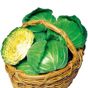 �� �L���x�c�EYR�t�� 1�܁y�^�L�C��c�����z