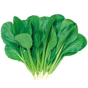  R}ciEĊyV 1