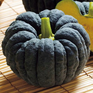 �� ���{�J�{�`���E�͂�� 1�܁y�^�L�C��c�����z