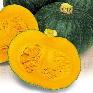 �� ���m�J�{�`���E�ق����肦�т� 1�܁y�^�L�C��c�����z