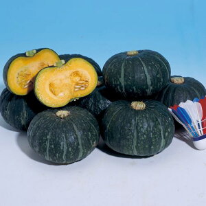 �� ���m�J�{�`���E�ق�����P 1�܁y�^�L�C��c�����z