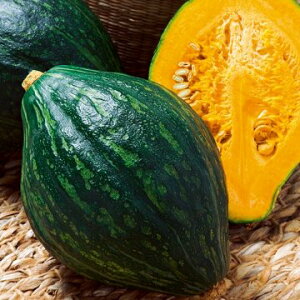 �� ���m�J�{�`���E������ 1�܁y�^�L�C��c�����z