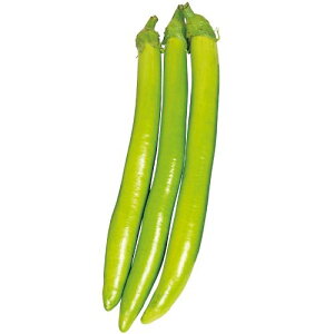 �� ���i�X�E�Δ� 1�܁y�^�L�C��c�����z