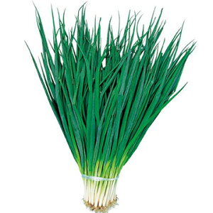 �� �t�l�M�E�󉩌n��� 1�܁y�^�L�C��c�����z