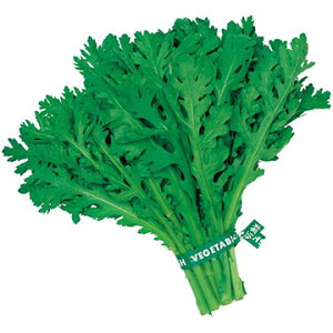  VMNEߒtte 1