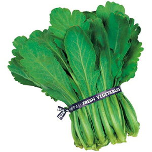 �� �V�����M�N�E��t�t�e 1�܁y�^�L�C��c�����z