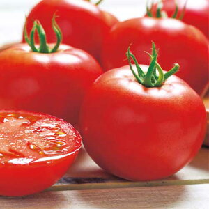 �� ��ʃg�}�g�E�����Y�t�@�C�g 1�܁y�^�L�C��c�����z