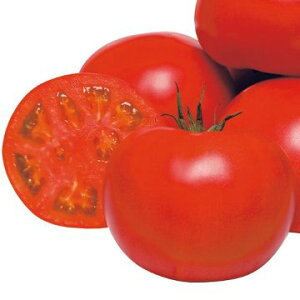  ʃg}gEYZNg 1܁y^LCcz