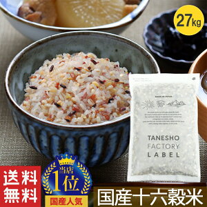 G 폤 Y 16 \Z 27kg G  e Y  邾 A}TX   茺  G Hi Hׂ₷  h{ e _CGb