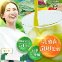 ＼タイムセール!1,000円ポッキリ／青汁 乳酸菌 500億個 国産 ユーグレナ 25包 種商 無添加 個包装 砂糖不使用 香料不使用 保存料不使用 ビタミン 大麦若葉 雑穀青汁 食物繊維 栄養 鉄 葉酸 ポリフェノール GABA ケール 健康 美容 ダイエット【青汁 2.4g×25包】