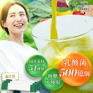 青汁 乳酸菌 500億個 国産 ユーグレナ 40包 種商 無添加 個包装 砂糖不使用 香料不使用 保存料不使用 ビタミン 大麦若葉 雑穀青汁 食物繊維 栄養 鉄 葉酸 ポリフェノール GABA ケール 健康 美容