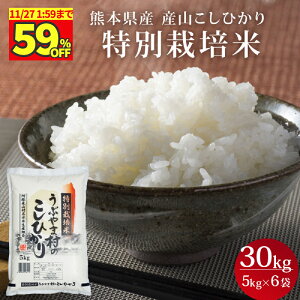 _^CZ[!59%OFF&ōőP10{^yV ߘa7NxYz F{Y YRЂ ʍ͔| 30kg (5kg×6) RVqJ  B  YR   F{Y h hR