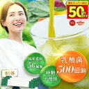 ＼50%OFF! スーパーSALE限定／ 青汁 乳酸菌 500億個 国産 ユーグレナ 80包 種商 無添加 個包装 砂糖不使用 香料不使用 ビタミン 大麦若葉 雑穀青汁 食物繊維 栄養 鉄 葉酸 ポリフェノール GABA ケール 健康 美容 ダイエット【青汁 2.4g×80包】