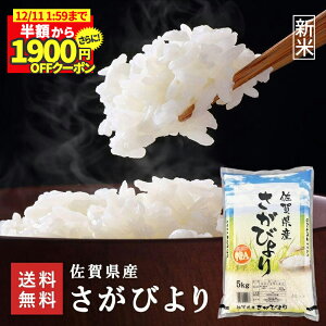 _z炳1900~OFFN[|s!X[p[SALE^yV ߘa7NxYz ꌧY т 30kg (5kg×6) A 1 폤    ͂  n Y B   j