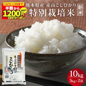 _z炳1200~OFFN[|s!X[p[SALE^yV ߘa7NxYz F{Y YRЂ ʍ͔| 10kg (5kg×2) RVqJ  B  YR   F{