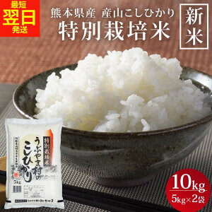 yV ߘa7NxYz F{Y YRЂ ʍ͔| 10kg (5kg×2) RVqJ  B  YR   F{Y Ђ  䒆 ߘa7NY 7NY 2025NY