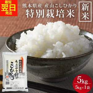 yV ߘa7NxYz F{Y YRЂ ʍ͔| 5kg RVqJ  B  YR   F{Y h hR Ђ  䒆 ߘa7NY 7NY 2025NY