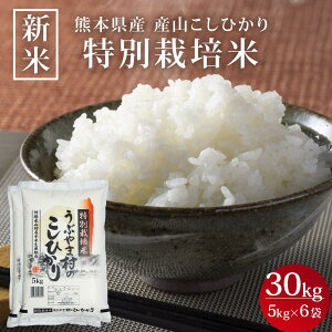\新米! タイムセール半額クーポン発行中/【新米 令和7年度産】 熊本県産 産山こしひかり 特別栽培米 30kg (5kg×6) コシヒカリ 送料無料 九州 お米 産山村お米 白米 精米 熊本県産 阿蘇 阿蘇山