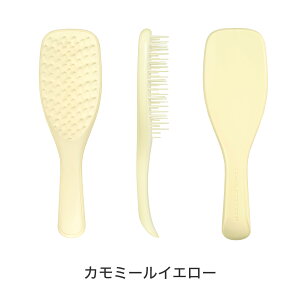 yz^OeB[U[ GNXg WFg wAuV  ؂ Ki