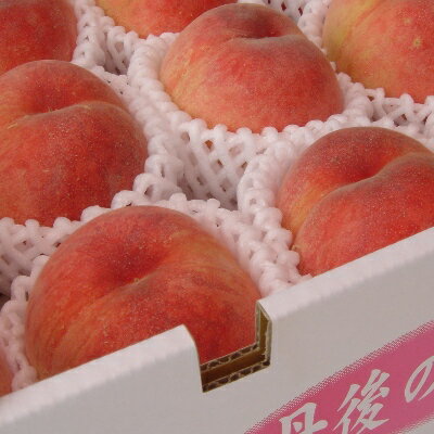 久美浜桃・白鳳・白桃・京都丹後産・農家直接入荷・果物贈り物・はじける&とろけるような旨さ・久美浜SANKAIKAN通販・かにはん通販