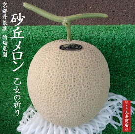 ★京都丹後久美浜 砂丘メロン【オトメの祈り】1玉1.6kg以上／2Lサイズ【生産者：的場農園】【京都丹後久美浜産】【糖度15度以上】【久美浜産メロン】【砂丘メロン 丹後】【送料無料】【乙女の祈り】【おとめの祈り】【お中元 メロン】【かにはん　通販】【京丹後市】