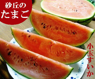 久美浜産【砂丘のたまご】【小玉すいか】【小玉スイカ】【砂丘の卵】