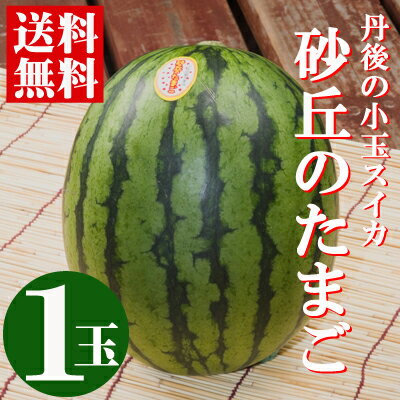 楽天市場 京都丹後産 砂丘のたまご 小玉すいか1玉 秀3l 約2 5kg シャリシャリとした甘みが人気 ハウス栽培 6 22 6 末まで 路地栽培 7 上旬発送 送料無料 砂丘の卵 御中元 贈り物 京都丹後 久美浜産 砂丘小玉スイカ 丹後長寿商店 楽天市場 京都丹後産 砂丘のたまご 小玉すいか1玉 秀3l 約2 5kg シャリシャリとした甘みが人気 ハウス栽培 6 22 6 末まで 路地栽培 7 上旬発送 送料無料 砂丘の卵 御中元 贈り物 京都丹後 久美浜産 砂丘小玉スイカ 丹後長寿商店