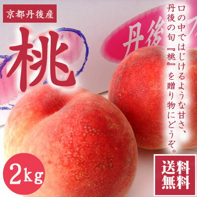 久美浜桃・白鳳・白桃・京都丹後産・農家直接入荷・果物贈り物・はじける&とろけるような旨さ・久美浜SANKAIKAN通販・かにはん通販