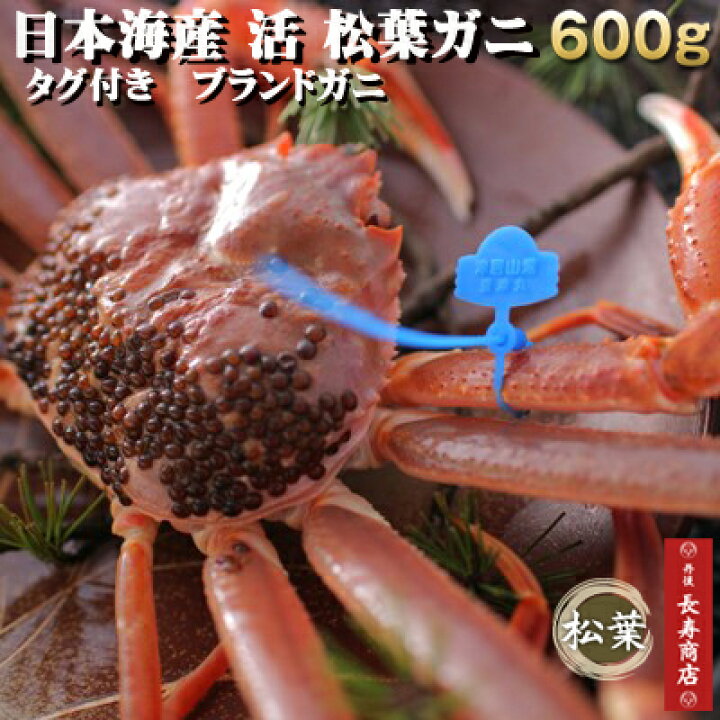 楽天市場 日本海産 活 ブランド松葉ガニ 中サイズ 約600g 1杯 タグ付 ブランドガニ 松葉ガニ 松葉がに 松葉かに ズワイガニ ブランドガニ カニ かに 蟹 日本海産 津居山 香住 柴山 浜坂 丹後長寿商店 スイーツ 米 蟹