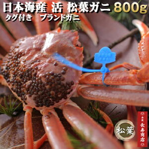 {CYyzuhtKjITCY800g1t^^OtyuhKjzyɁ@YzyJj@pzytKjzyJj@hgzytɁzyYCKjzyYCzy