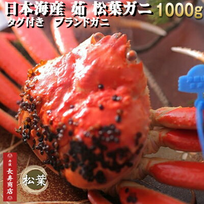 楽天市場 日本海産 茹 ブランド松葉ガニ 特大サイズ特選 1000g1杯 タグ付 ブランド蟹 松葉ガニ 松葉がに 松葉かに ズワイガニ 津居山 かに 津居山漁港 津居山蟹 津居山カニ 兵庫 津居山 津居山がに ブランドガニ 丹後長寿商店 楽天市場 日本海産 茹 ブランド松葉ガニ 特大サイズ特選 1000g1杯 タグ付 ブランド蟹 松葉ガニ 松葉がに 松葉かに ズワイガニ 津居山 かに 津居山漁港 津居山蟹 津居山カニ 兵庫 津居山 津居山がに ブランドガニ 丹後長寿商店