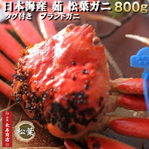 {CYy䥁zuhtKjTCYI800g1t^^OtyuhIzyɁ@YzytKjzyJj@pzyJj@{CzytɁzytɁzyYCKjzy