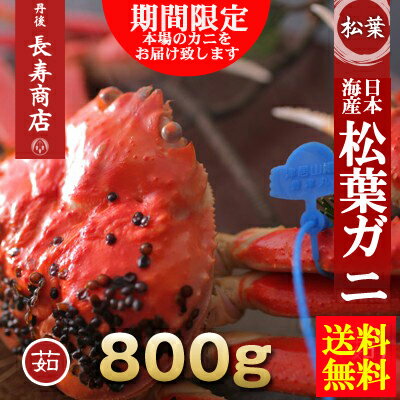 【松葉ガニ】【ブランドガ二】【松葉がに】【松葉かに】【松葉蟹】【ズワイガニ】【ズワイ】【津居山かに】【津居山漁港】【津居山蟹】【津居山カニ】【城崎カニ】【兵庫津居山】【津居山がに【smtb-k】【ky】