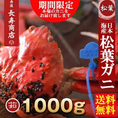 【松葉蟹】【松葉ガニ】【松葉がに】【松葉かに】【ズワイガニ】【ズワイ】【津居山かに】【津居山漁港】【津居山蟹】【津居山カニ】【城崎カニ】【兵庫津居山】【津居山がに【smtb-k】【ky】