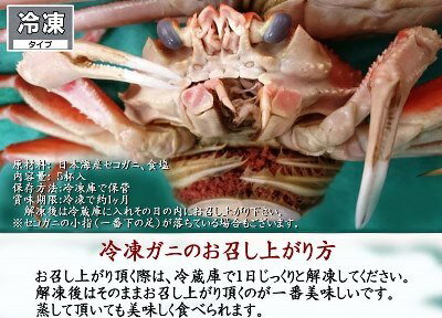 【松葉ガニ解禁】【セコガニ】【せこがに】【コッペがに】【こっぺがに】【かに】【カニ】【蟹】【日本海産】【セイコガニ】【せいこがに】【せいこ蟹】【親がに】【勢子がに】【内子】【外子】【珍味】