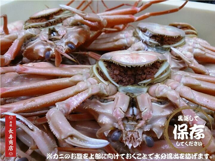 楽天市場】【日本海産】セコガニ10杯【茹】180g前後＜大サイズ＞松葉 