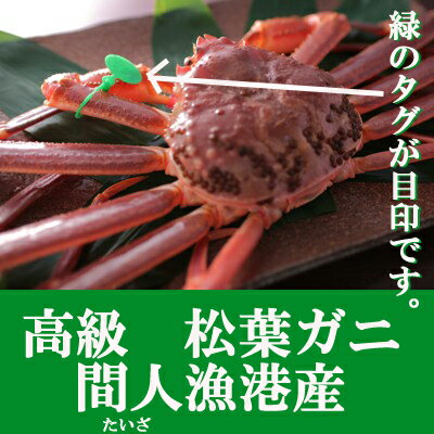 幻の間人ガニ【活】・松葉ガニ1杯【松葉ガニ】【松葉がに】【ブランドガニ】【ズワイガニ】【高級ガニ】【間人ガニ】【間人蟹】【間人ガニお取り寄せ】【間人ガニ通販】【丹後半島間人ガ二】【たいざがに】