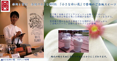 【水辺のホテル小さな白い花】【白い花プリン】京都ご当地プリン・LITTELEWHITEFLOWER・ぷりん・白いプリン・