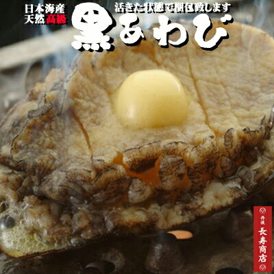 楽天市場 日本海産 天然黒あわび 大1枚 300g 活アワビ 夏限定 新鮮アワビ 活きている状態で発送致します 大サイズ 高級品 天然あわび 活きあわび 黒鮑 黒アワビ 黒あわび 丹後長寿商店 スイーツ 米 蟹 楽天市場 日本海産 天然黒あわび 大1枚 300g 活アワビ 夏限定 新鮮アワビ 活きている状態で発送致します 大サイズ 高級品 天然あわび 活きあわび 黒鮑 黒アワビ 黒あわび 丹後長寿商店 スイーツ 米 蟹