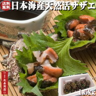 日本海産★天然活サザエ1.5kg【約15個】壺焼き・お刺身などBBQに【天然サザエ】【クール冷蔵便】【新鮮サ…