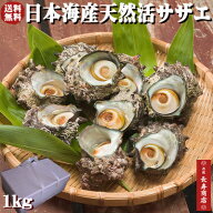 日本海産★天然活サザエ1kg【約10個】【天然サザエ】【新鮮サザエ】【活きた状態でお届け】【冷蔵】【京…