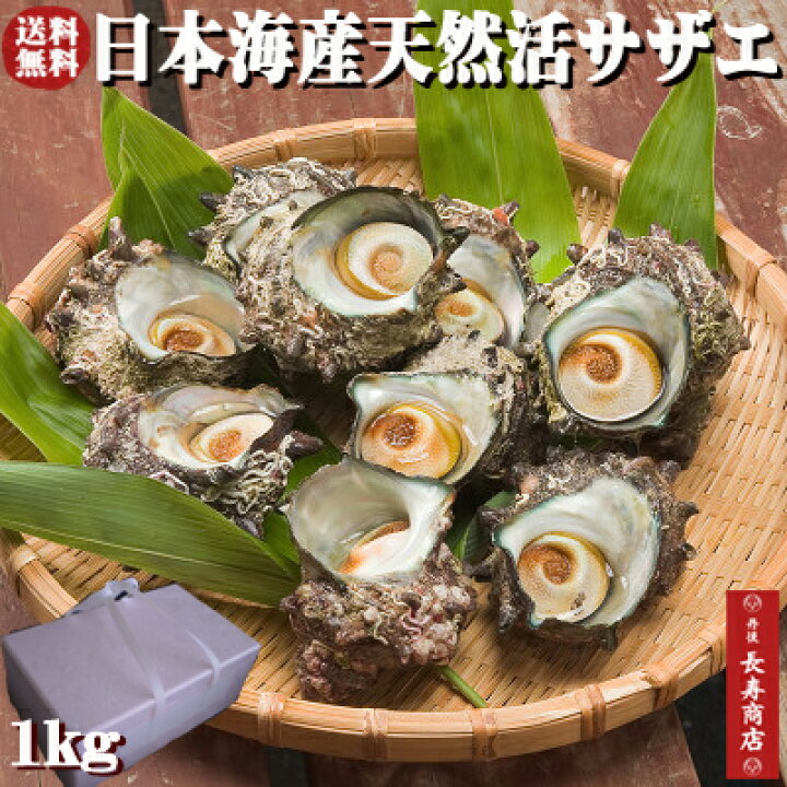 楽天市場 日本海産 天然活サザエ1kg 約10個 天然サザエ 新鮮サザエ 活きた状態でお届け 冷蔵 京都 丹後 バーベキュー サザエ q サザエ サザエ壺焼き さざえ 刺身 さざえ 送料無料 サザエ 贈り物 栄螺 丹後長寿商店 スイーツ