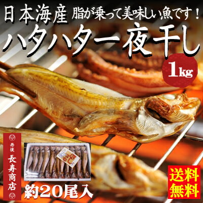 ハタハタ・はたはた・ハタハタ一夜干し・干物はたはた・干物ハタハタ