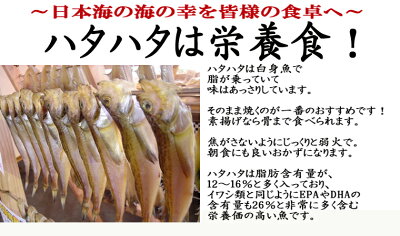 ハタハタ・はたはた・ハタハタ一夜干し・干物はたはた・干物ハタハタ