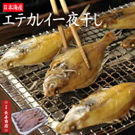 ★日本海産 エテカレイの一夜干し【10枚】冷凍＜1枚110g以上＞夕日ヶ浦旅館御用達【エテカレイ】【山陰沖…