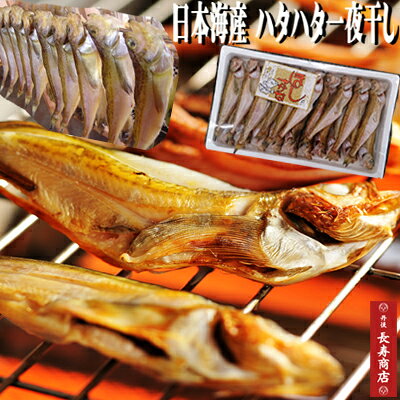 楽天市場 日本海産 ハタハタ一夜干し 1kg 約枚入 冷凍 大サイズ はたはた一夜干し 干物ハタハタ ハタハタ 干物 ハタハタ 一夜干し ハタハタ通販 ハタハタ 旬 一夜干し 干物 取り寄せ 干物 通販 一夜干し はたはた一夜干し 丹後 楽天市場 日本海産 ハタハタ一夜干し 1kg 約枚入 冷凍 大サイズ はたはた一夜干し 干物ハタハタ ハタハタ 干物 ハタハタ 一夜干し ハタハタ通販 ハタハタ 旬 一夜干し 干物 取り寄せ 干物 通販 一夜干し はたはた一夜干し 丹後