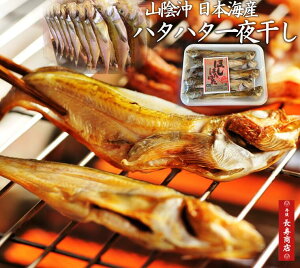 {CY@n^n^銱40gy10zTCYⓀn^n^ETCYyO Zbgzy͂͂zyn^n^ zyn^n^ Vszyn^n^ zyn^n^ 