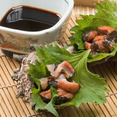 【天然サザエ】天然活サザエ2kg【約20個】【日本海産】【クール冷蔵便】【新鮮サザエ】【バーベキュー】【サザエ壺焼き】【サザエ刺身】【御中元】【生きたまま梱包】