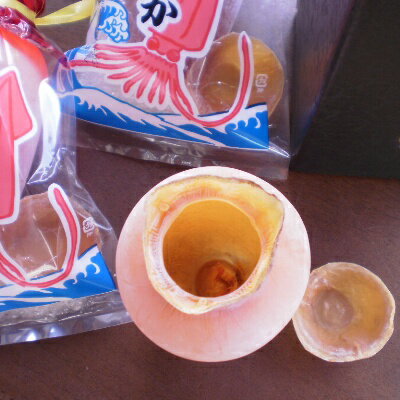 徳利いか【宮津・鞍岡商店】するめいか【丹後の珍味】【父の日ギフトに】お酒がすすむ珍味♪【するめ】【するめイカ】【いか徳利】【イカ徳利】【スルメイカ】【酒の肴】【酒びたし】